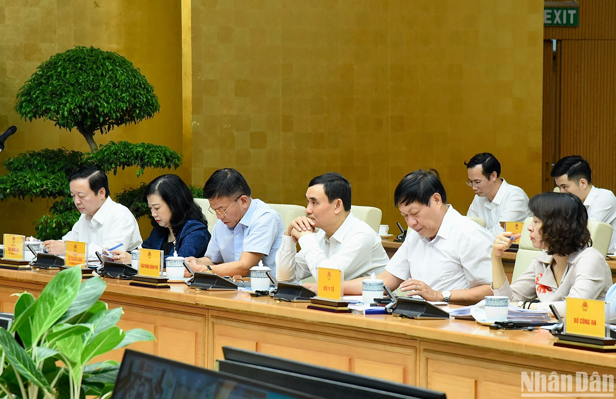 Các đại biểu tham dự hội nghị.