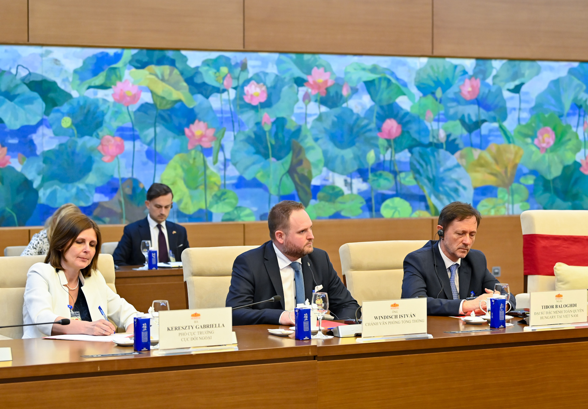 Các thành viên tháp tùng Tổng thống Hungary dự hội kiến.