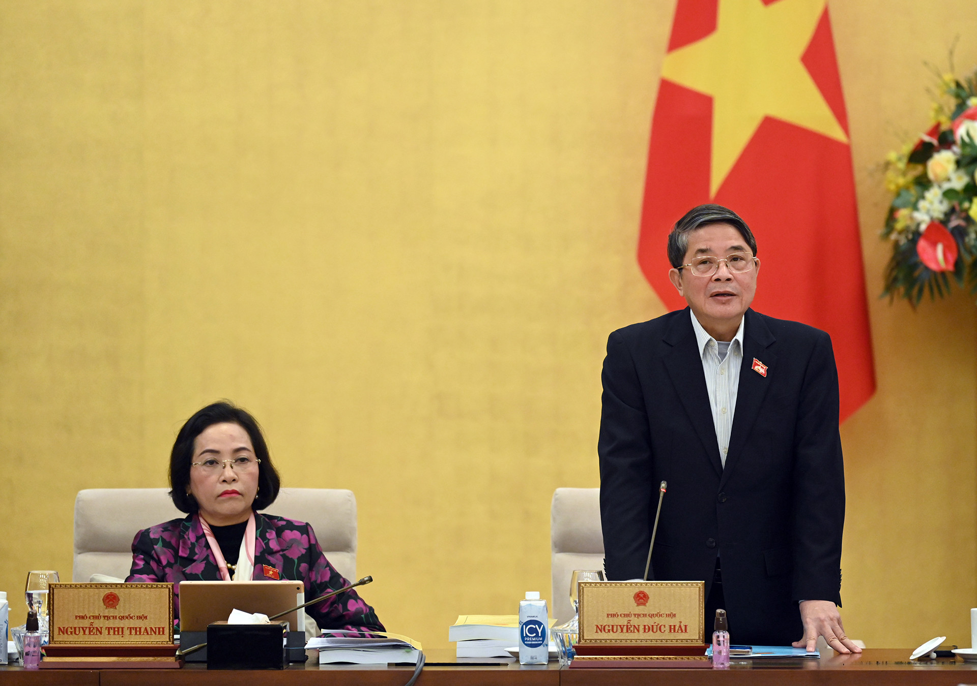 Phó Chủ tịch Quốc hội Nguyễn Đức Hải phát biểu ý kiến tại phiên họp.