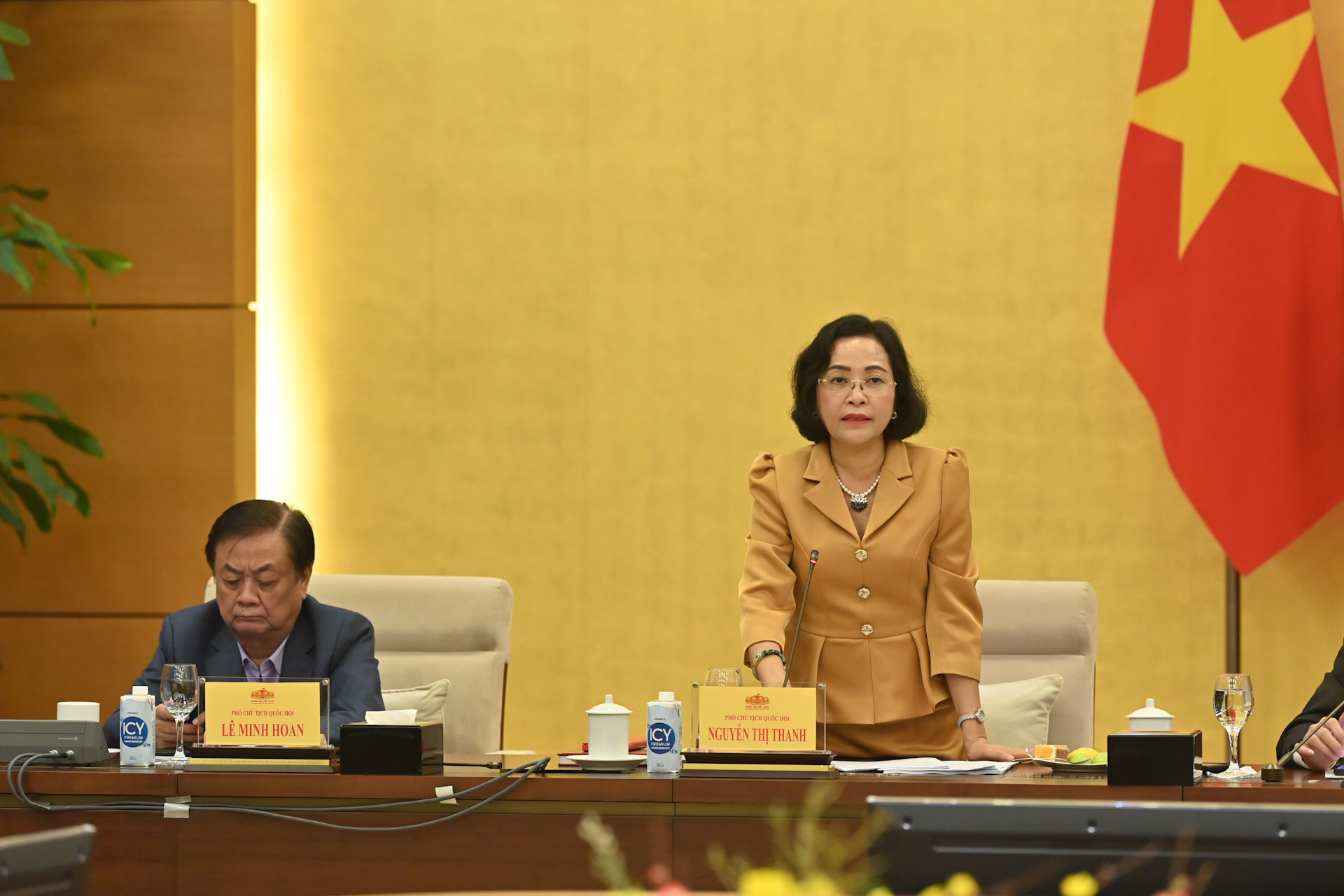 Phó Chủ tịch Quốc hội Nguyễn Thị Thanh phát biểu tại cuộc họp.