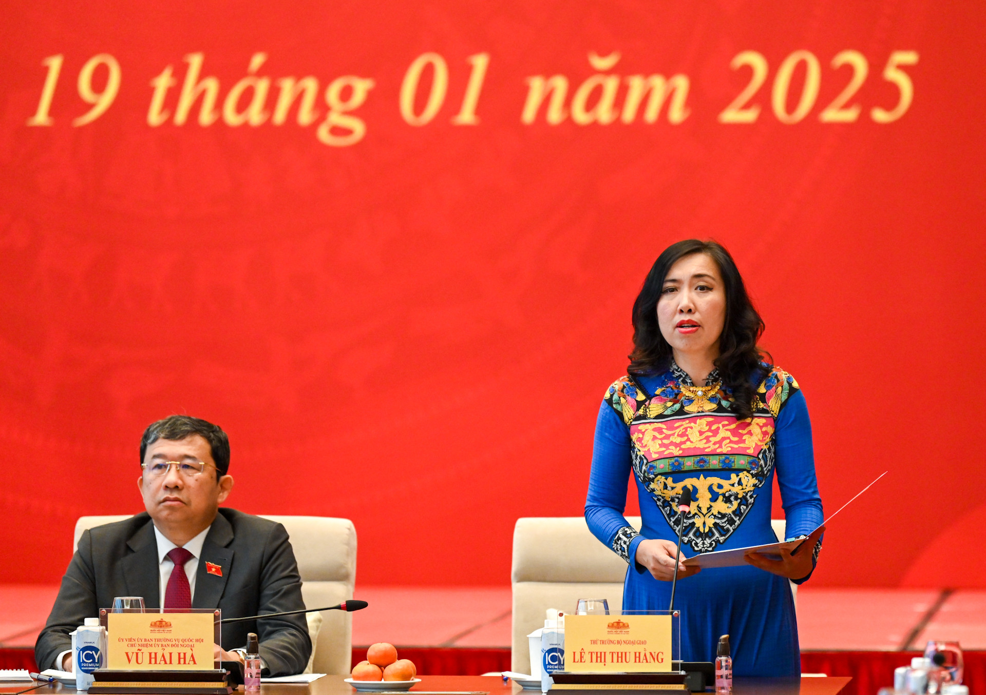 Thứ trưởng Ngoại giao, Chủ nhiệm Ủy ban Nhà nước về người Việt Nam ở nước ngoài Lê Thị Thu Hằng báo cáo tại cuộc gặp mặt.