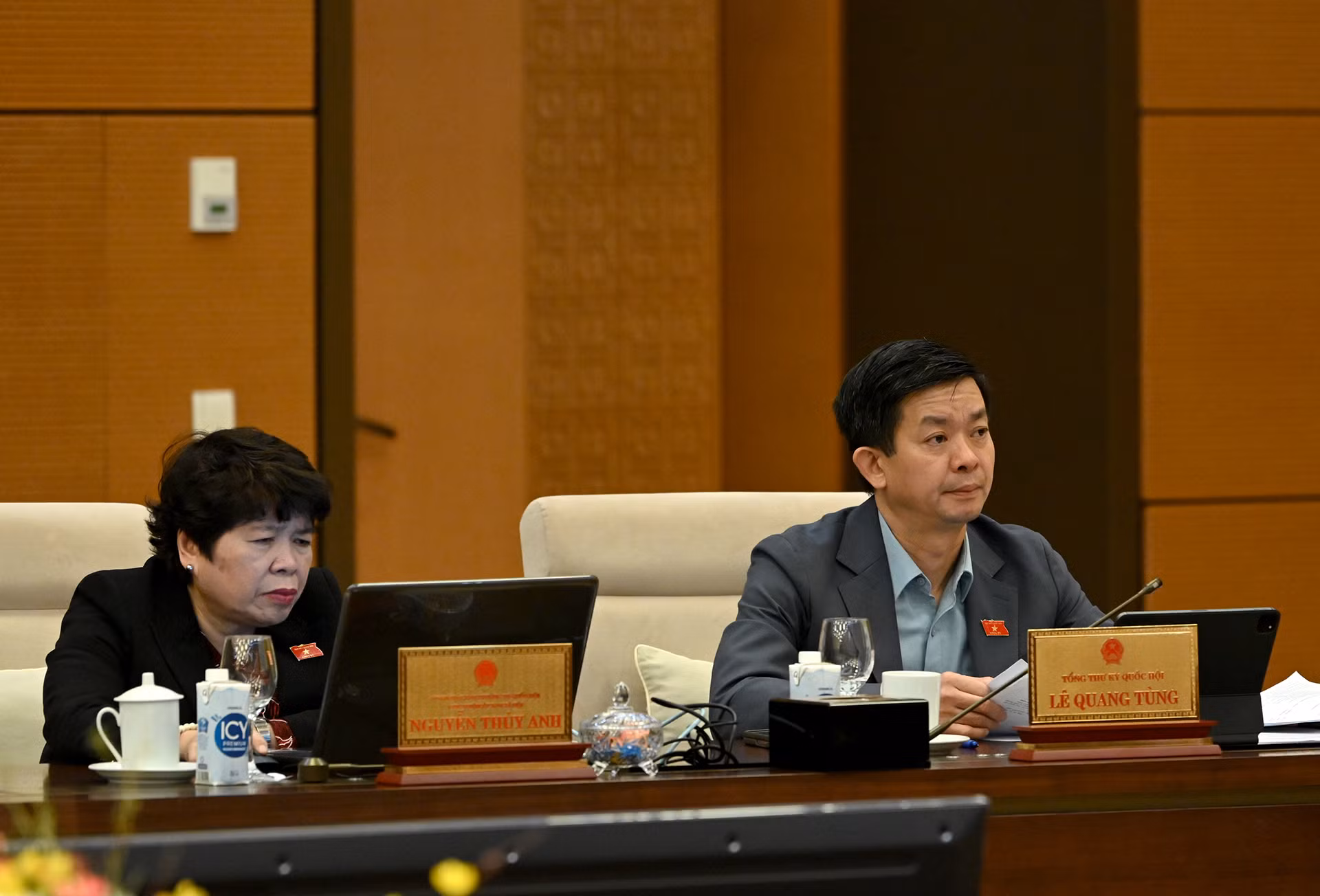 Các Ủy viên Ủy ban Thường vụ Quốc hội dự phiên họp.