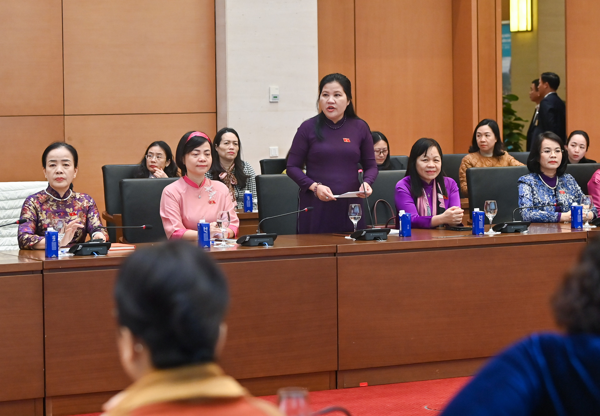 Phó Chủ tịch Hội đồng Dân tộc Đinh Thị Phương Lan phát biểu tại cuộc gặp mặt.