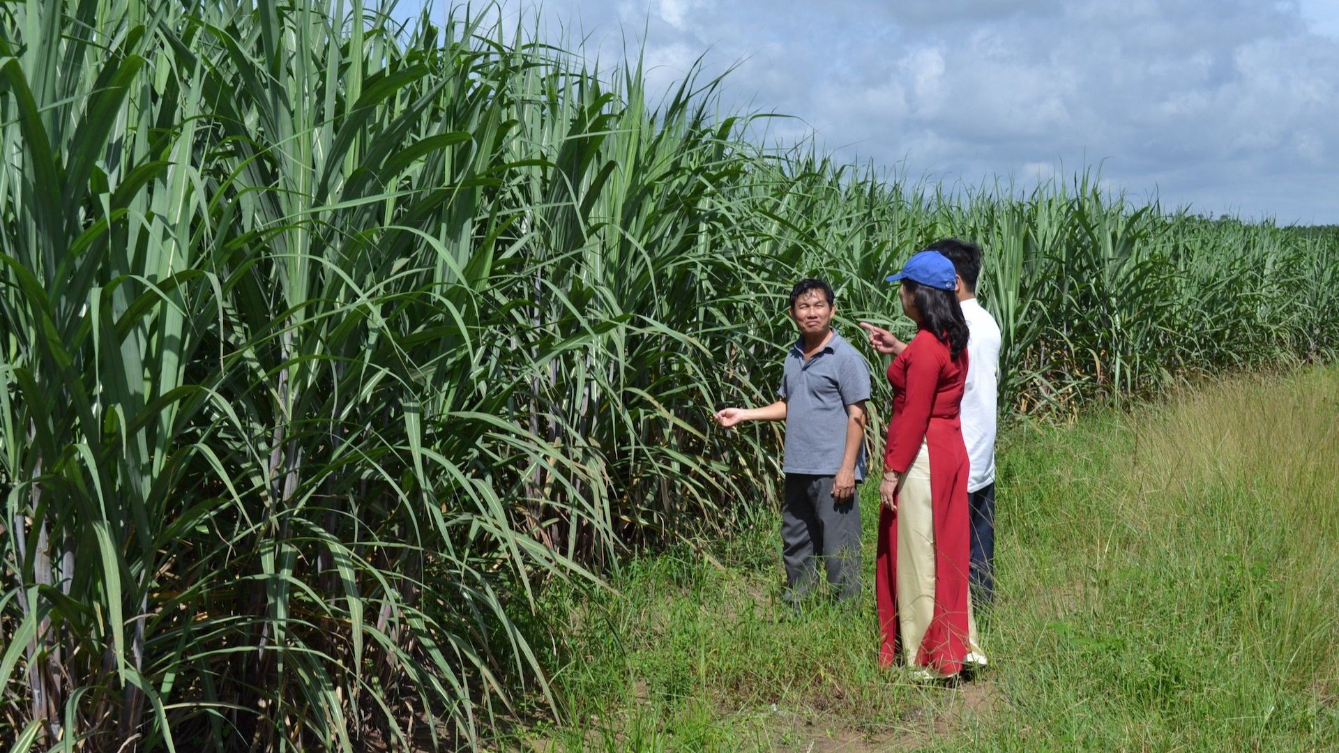 Nhân viên Ngân hàng Nông nghiệp và Phát triển nông thôn chi nhánh Bình Thuận hướng dẫn cho hộ nghèo vay vốn sản xuất.