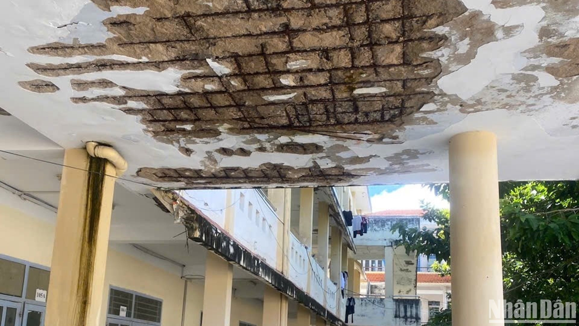 Trần nhà trường nứt bê-tông, lòi xi-măng.