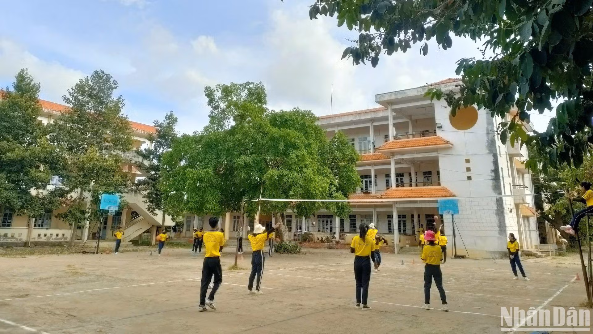 Sân trường cần được cải tạo mới.