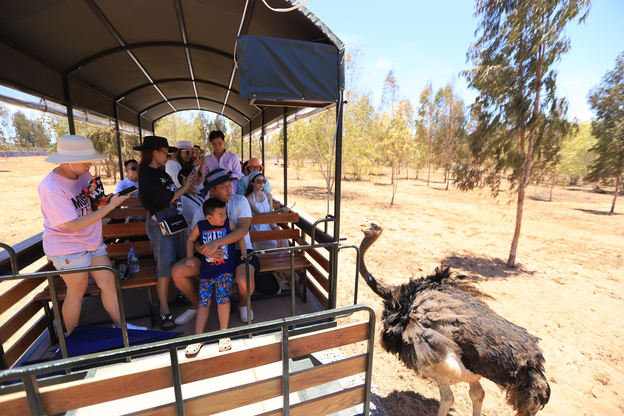 Du khách tham quan Khu Safari tại NovaWorld Phan Thiết