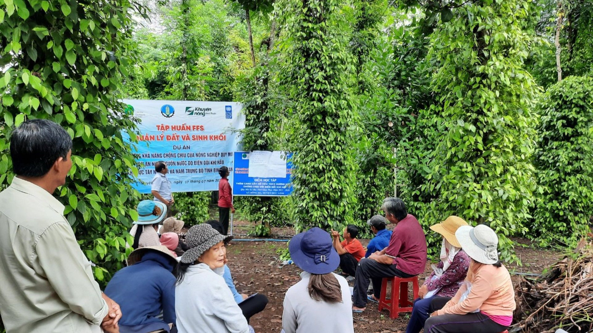 Trung tâm Khuyến nông mở các lớp tập huấn cho nông dân.