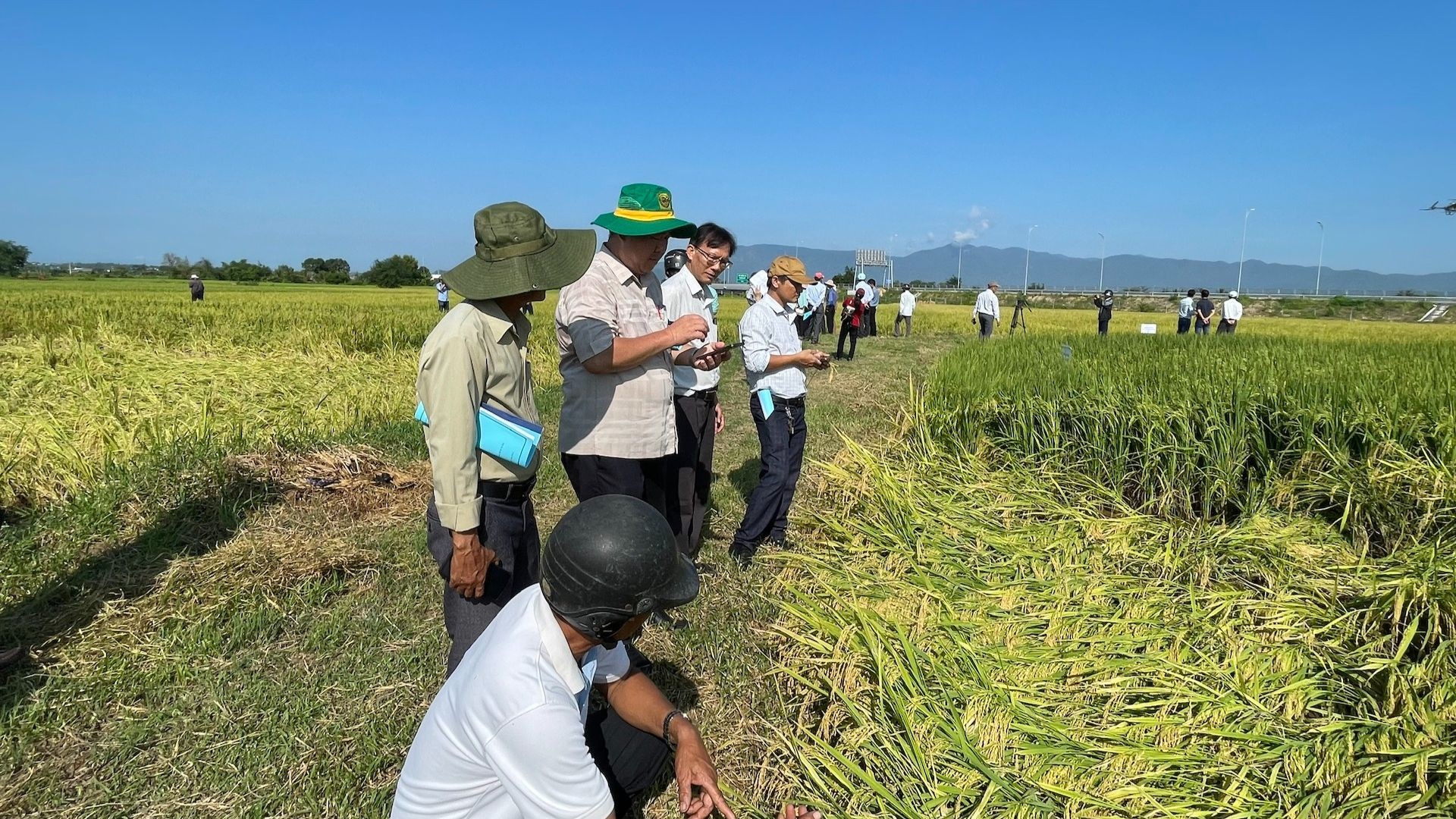 Khi có đất đai, đồng bào dân tộc sẽ nâng cao sản xuất.
