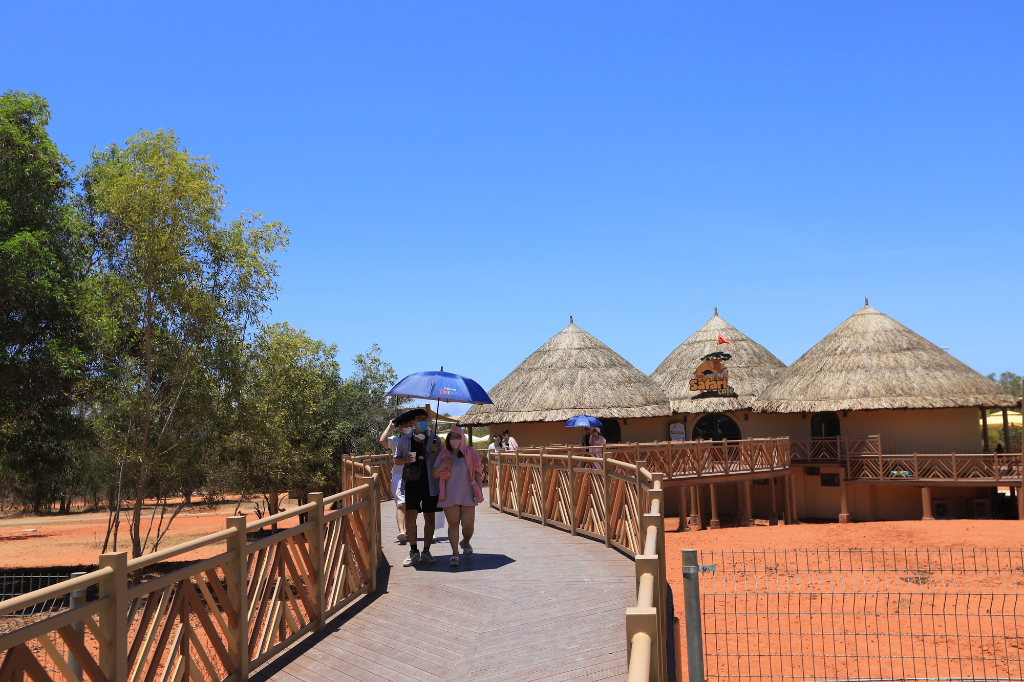 Khu Safari Cafe thưởng thức cà-phê trên lều cao ngắm hươu cao cổ, check-in cùng cây bao báp mới lạ, tham quan khám phá môi trường sinh sống với hàng trăm loài động vật vật lành tính bằng xe đầu kéo vòng quanh khu sinh thái.