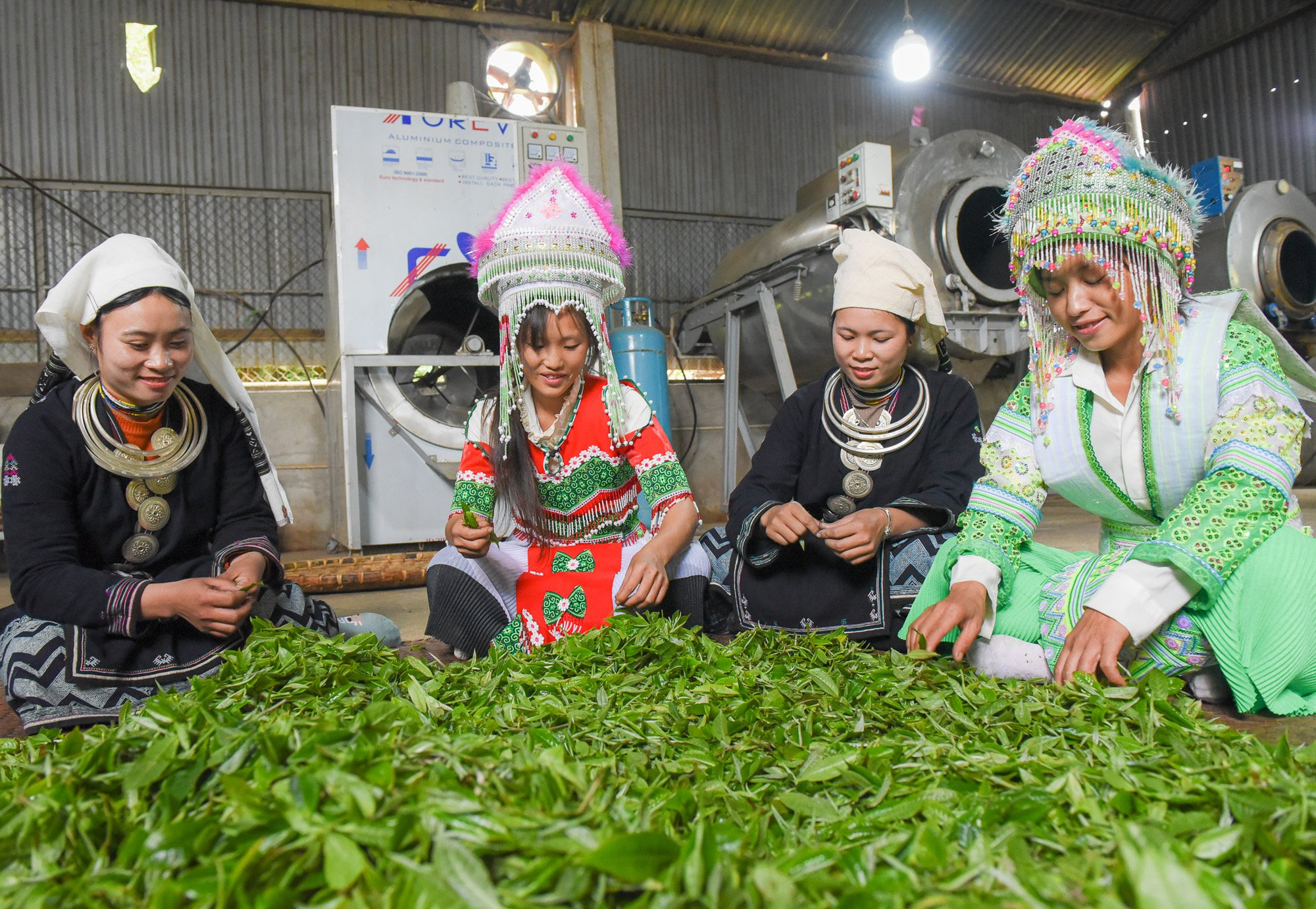 Tuyên Quang hiện có trên 20 điểm giới thiệu và bán sản phẩm OCOP. (Ảnh: ĐỨC THẮNG)