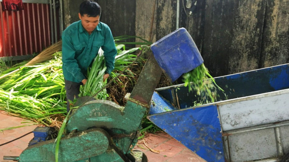 Người dân sử dụng máy để chế biến thức ăn cho bò nên không mất nhiều công lao động