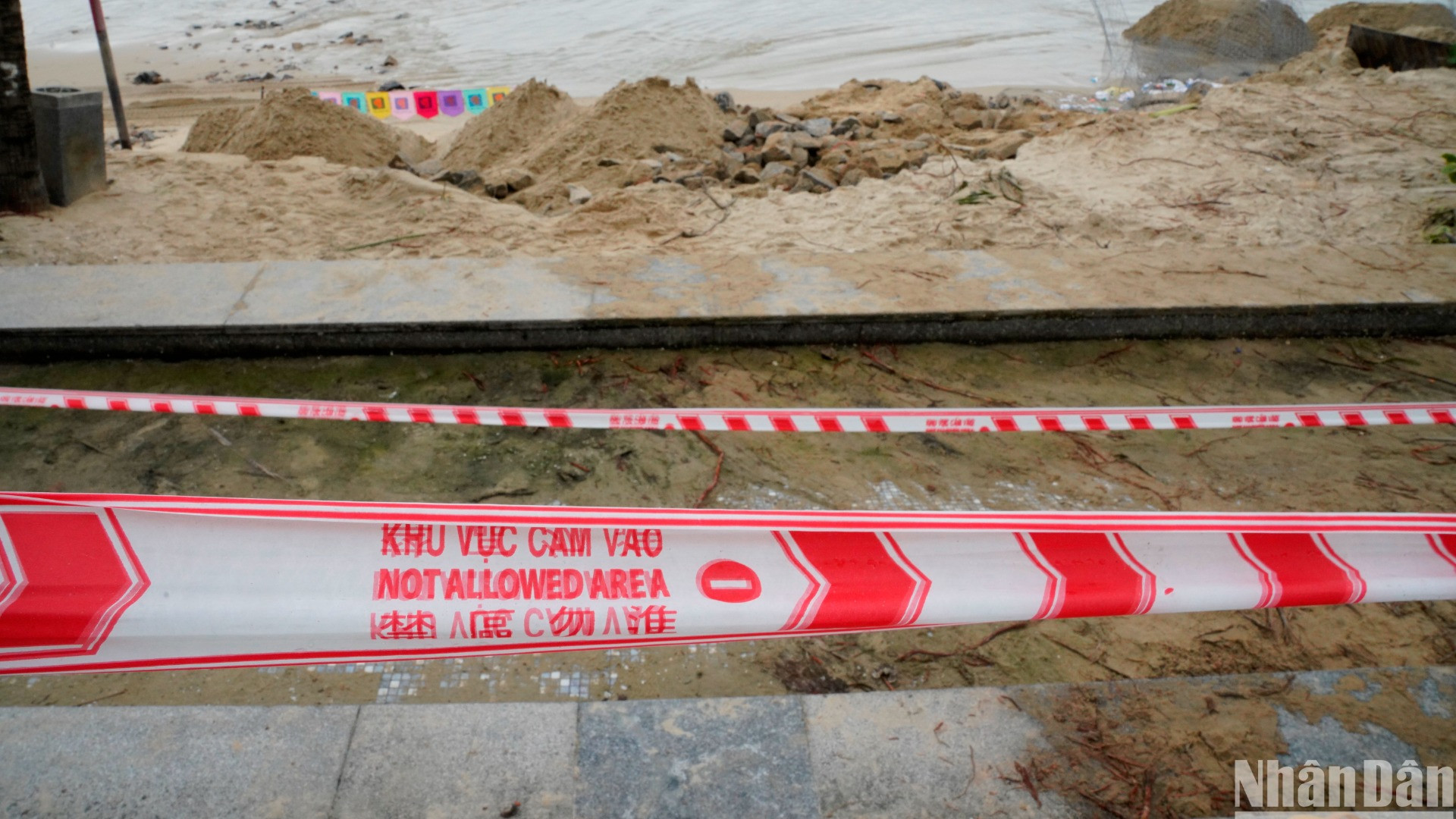 Các đơn vị đang phối hợp theo dõi tình trạng sóng biển xâm thực, sạt lở bờ biển và triển khai xử lý khẩn cấp 3 vị trí bị xói lở sâu với tổng chiều dài khoảng 500m.(Ảnh: ANH ĐÀO) Các đơn vị đang phối hợp theo dõi tình trạng sóng biển xâm thực, sạt lở bờ biển và triển khai xử lý khẩn cấp 3 vị trí bị xói lở sâu với tổng chiều dài khoảng 500m.(Ảnh: ANH ĐÀO)