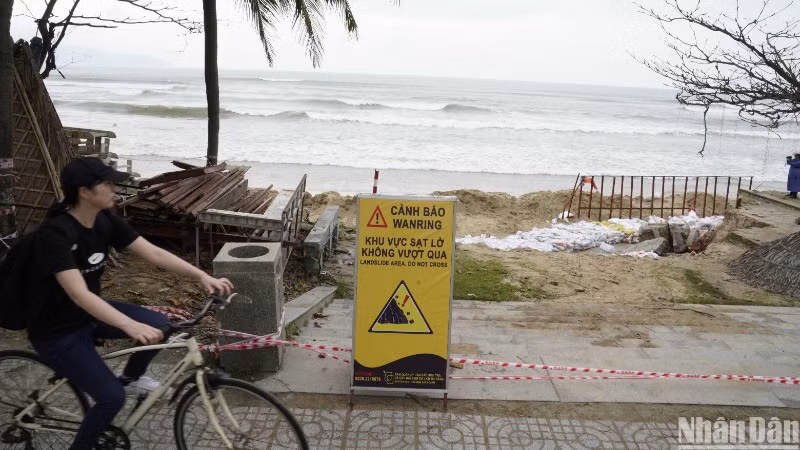 Tình trạng sạt lở kéo dài hơn 100m, trên đoạn bãi biển T20, phường Phước Mỹ, quận Sơn Trà, lực lượng chức năng khuyến cáo người dân hạn chế lưu thông khu vực này. (Ảnh: ANH ĐÀO)