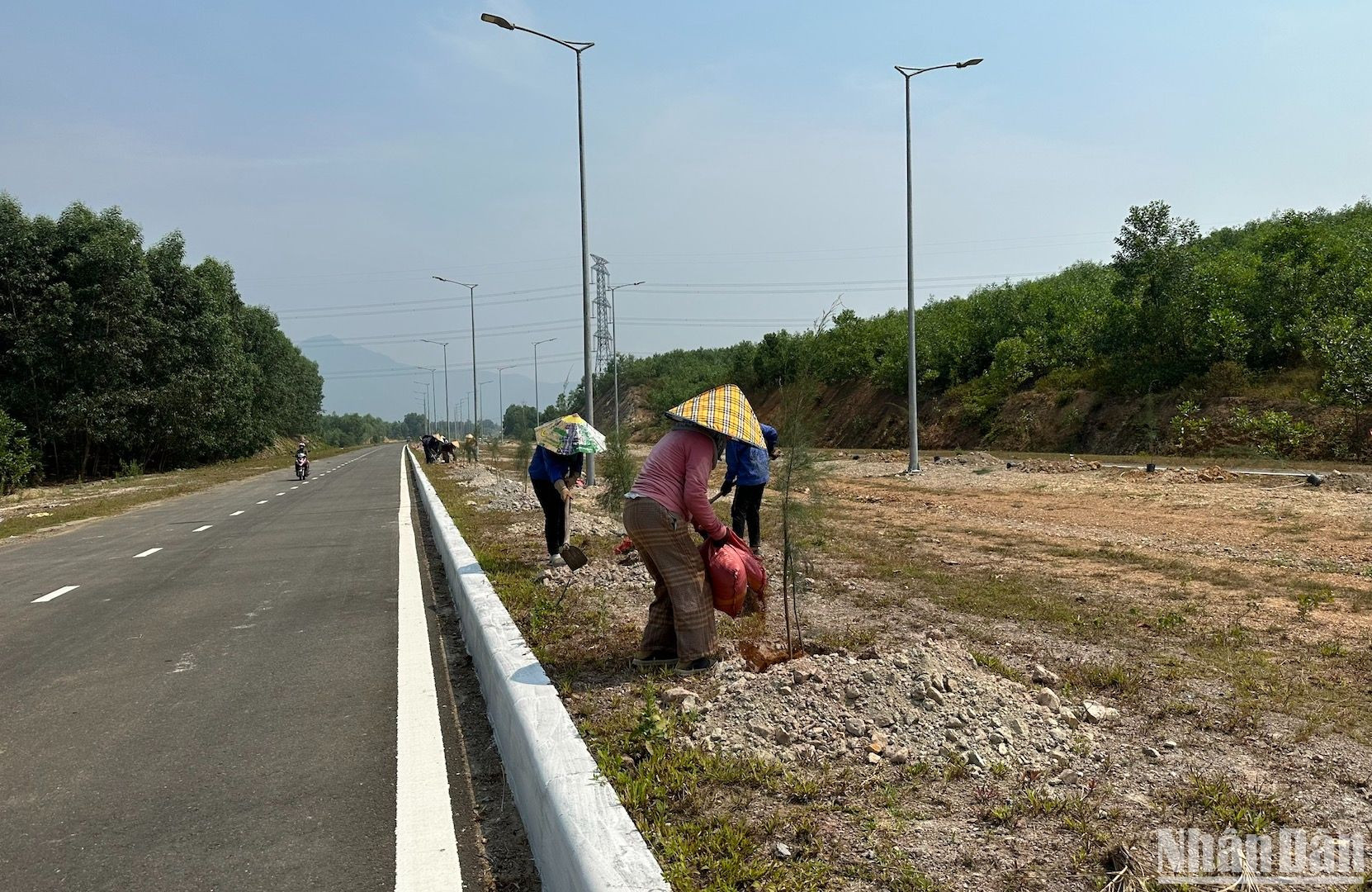 Các công nhân tiến hành trồng cây, tạo mỹ quan đô thị trên tuyến đường.