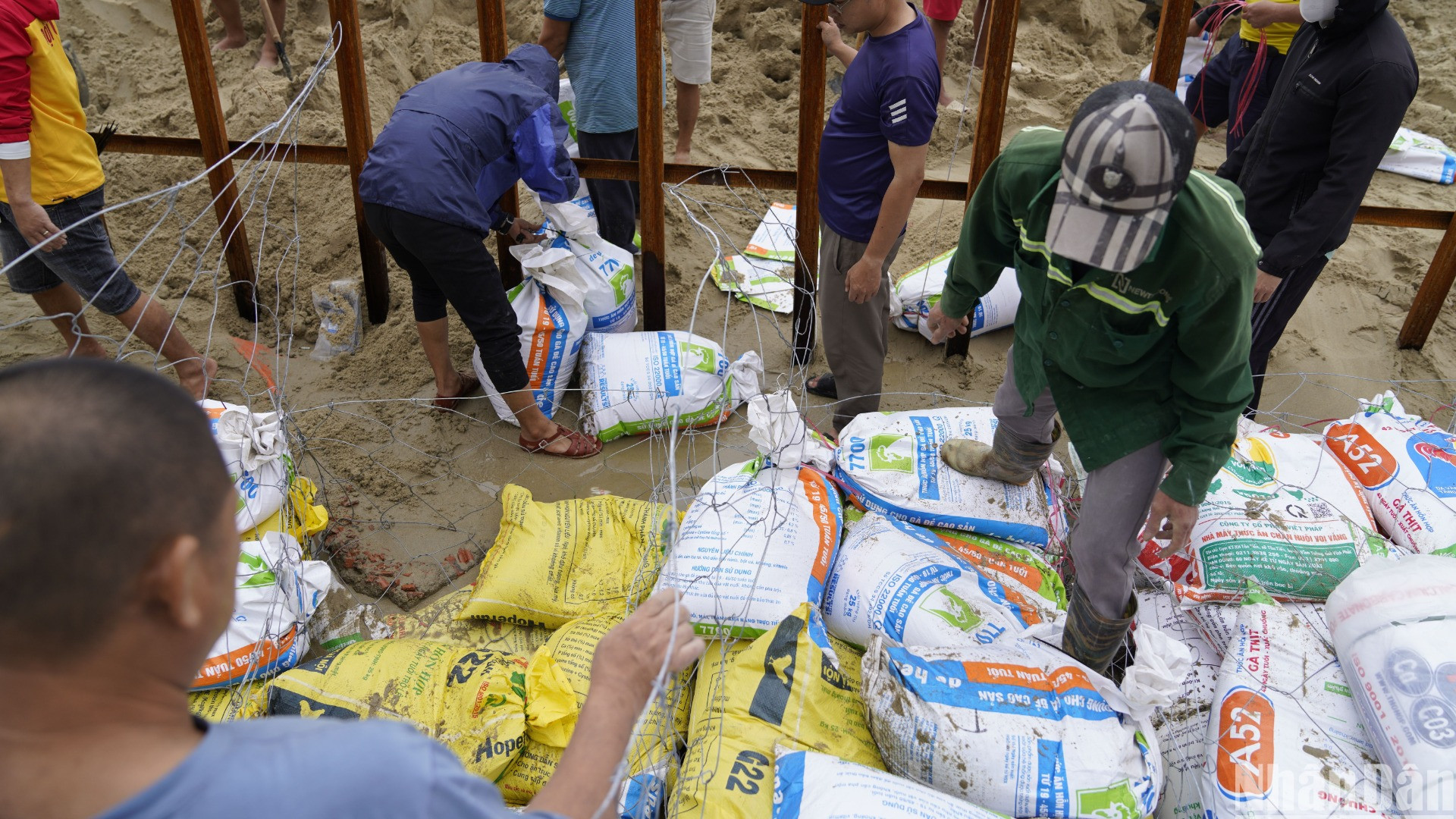 Huy động khẩn cấp các tấm lưới thép phục vụ thi công kè chống sạt lở bờ sông để làm các rọ bao cát kết hợp đóng cọc để neo giữ rọ, nhằm tạo bờ tường chắn sóng trước các vị trí bờ biển bị xói lở. (Ảnh: ANH ĐÀO) Huy động khẩn cấp các tấm lưới thép phục vụ thi công kè chống sạt lở bờ sông để làm các rọ bao cát kết hợp đóng cọc để neo giữ rọ, nhằm tạo bờ tường chắn sóng trước các vị trí bờ biển bị xói lở. (Ảnh: ANH ĐÀO)