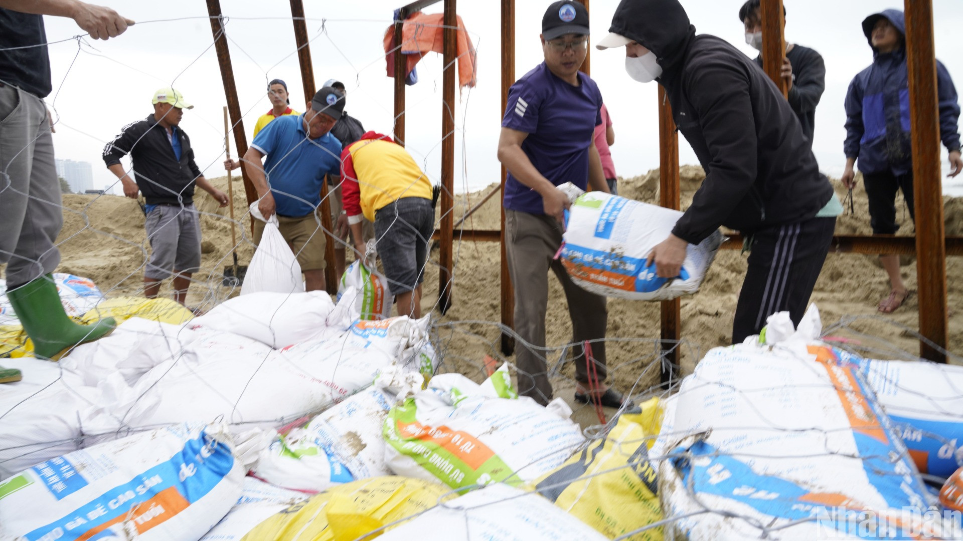 Hàng trăm người đang khẩn trương chạy đua với thời gian để khắc phục các vị trí bờ biển bị sạt lở do sóng biển xâm thực. (Ảnh: ANH ĐÀO) Hàng trăm người đang khẩn trương chạy đua với thời gian để khắc phục các vị trí bờ biển bị sạt lở do sóng biển xâm thực. (Ảnh: ANH ĐÀO)