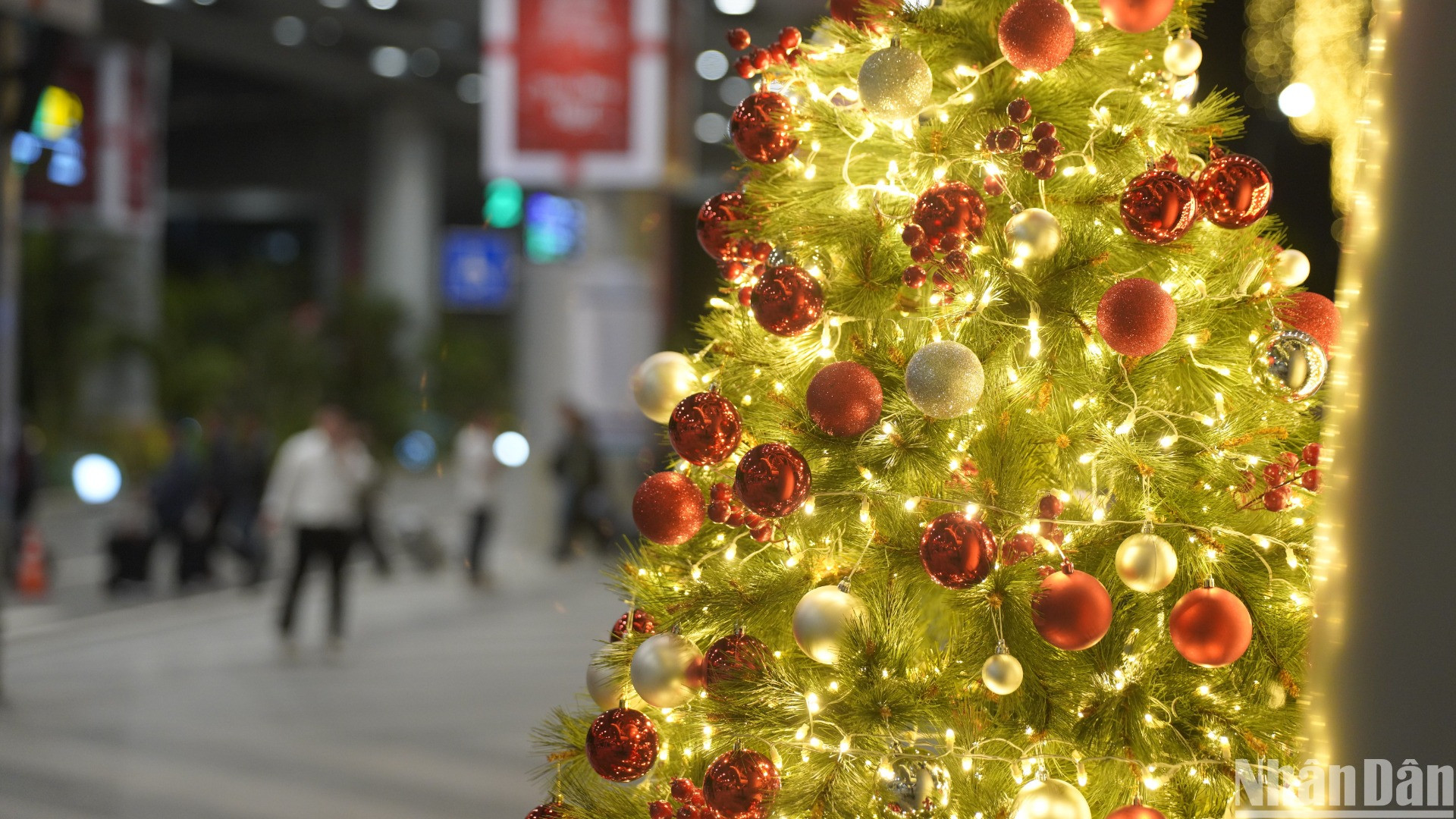 Sự tinh tế trong trang trí các cụm cây thông chào đón Giáng sinh mang lại cảm giác ấm áp đối với du khách khi bước chân đến Đà Nẵng. (Ảnh: ANH ĐÀO)