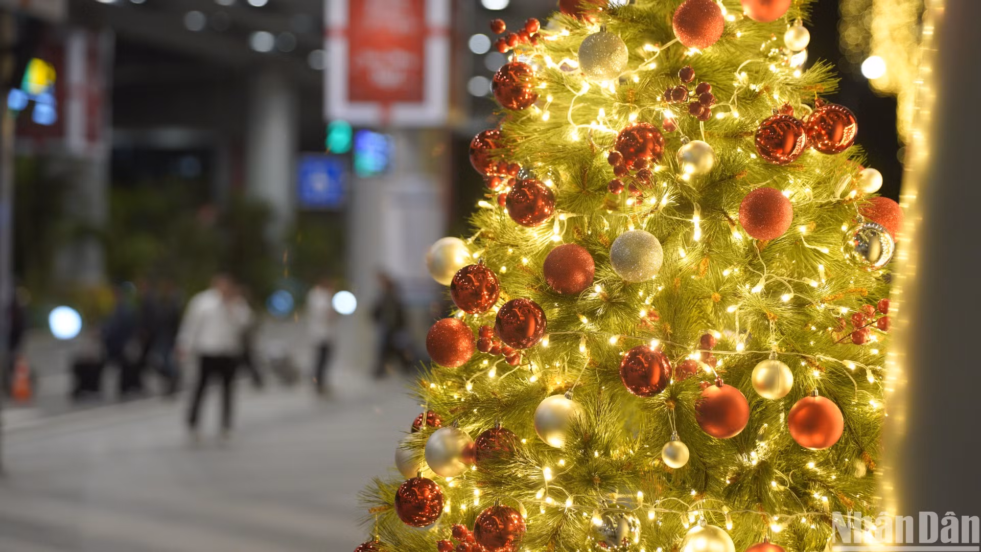 Sự tinh tế trong trang trí các cụm cây thông chào đón Giáng sinh mang lại cảm giác ấm áp đối với du khách khi bước chân đến Đà Nẵng. (Ảnh: ANH ĐÀO)