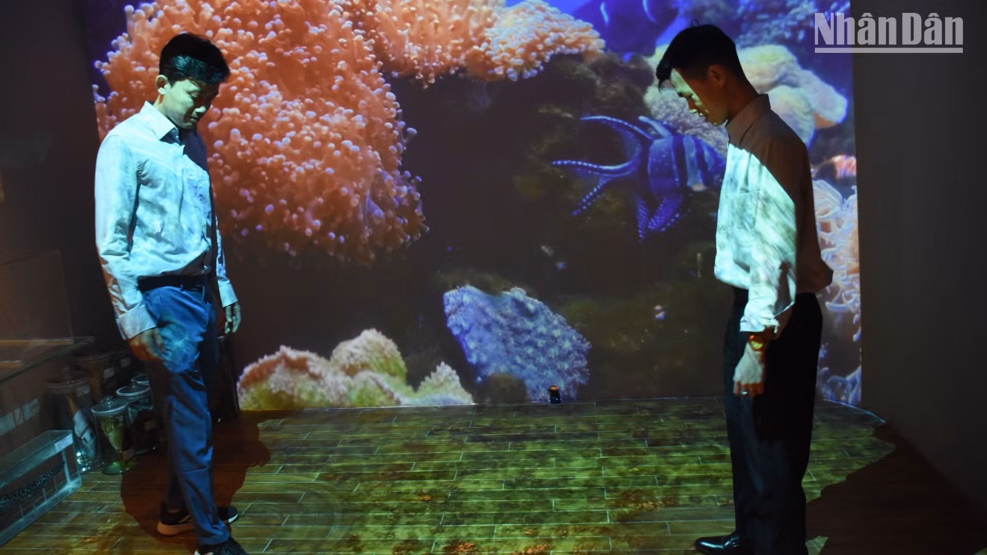 Dấu ấn văn hóa biển với kỹ thuật cảm biến tự động hiện đại nhất được áp dụng tại Bảo tàng Đà Nẵng. (Ảnh: ANH ĐÀO)