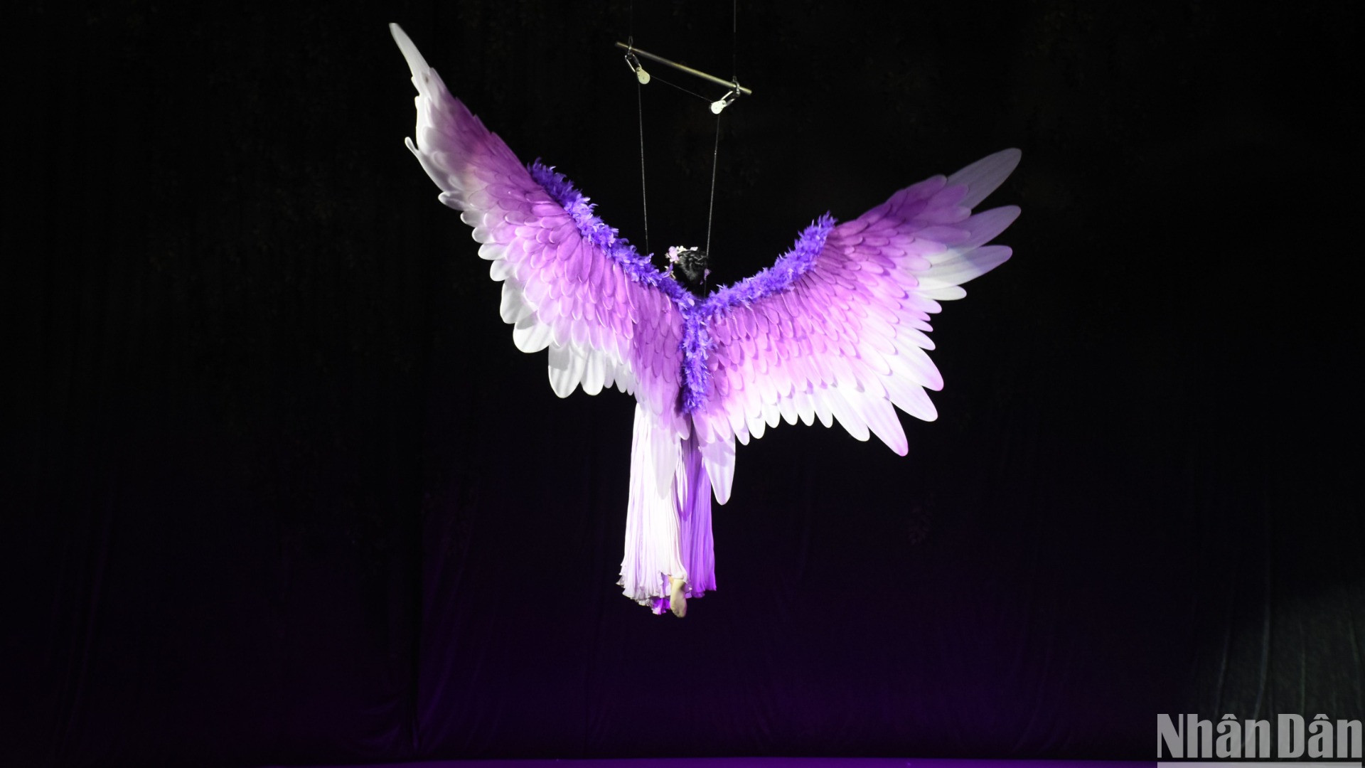 Và nàng Tiên cánh Tím (Ảnh: ANH ĐÀO)