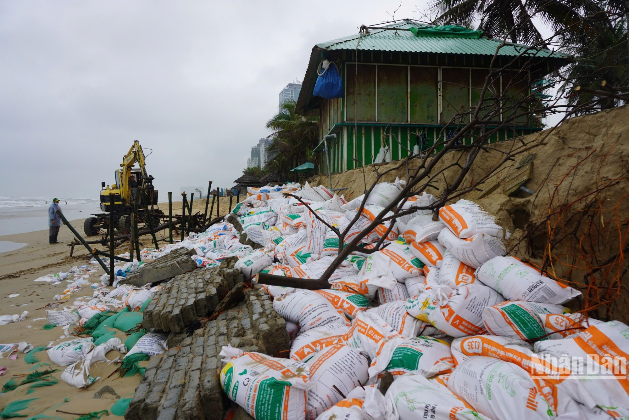 Lực lượng chức năng tiến hành xử lý, đắp bao cát tại các khu vực bờ biển bị sóng đánh sập, bảo đảm an toàn cho người dân, du khách. (Ảnh: ANH ĐÀO)