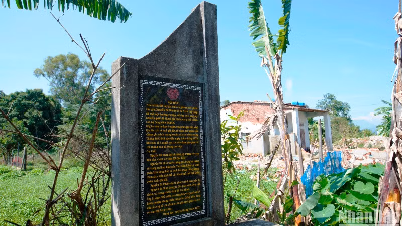 Rừng Trung Sơn và các di tích lịch sử văn hóa nơi này bị bủa vây bởi nhiều dự án, chỉnh trang đô thị trong suốt nhiều năm qua (Ảnh: ANH ĐÀO)