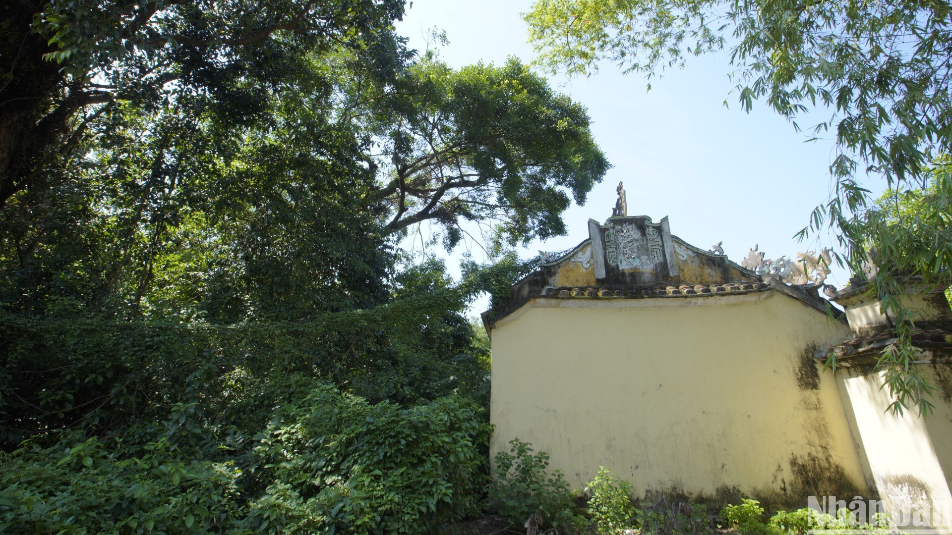 Một góc rừng Trung Sơn. (Ảnh: ANH ĐÀO)