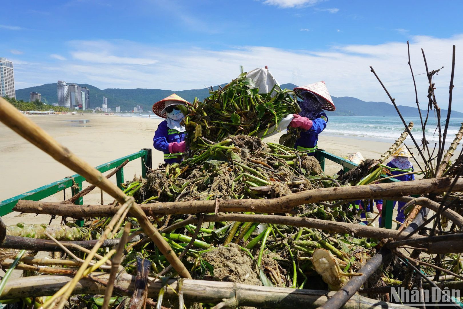 Các công nhân nỗ lực dọn rác tại các bờ biển sáng ngày 20/9. (Ảnh: ANH ĐÀO)