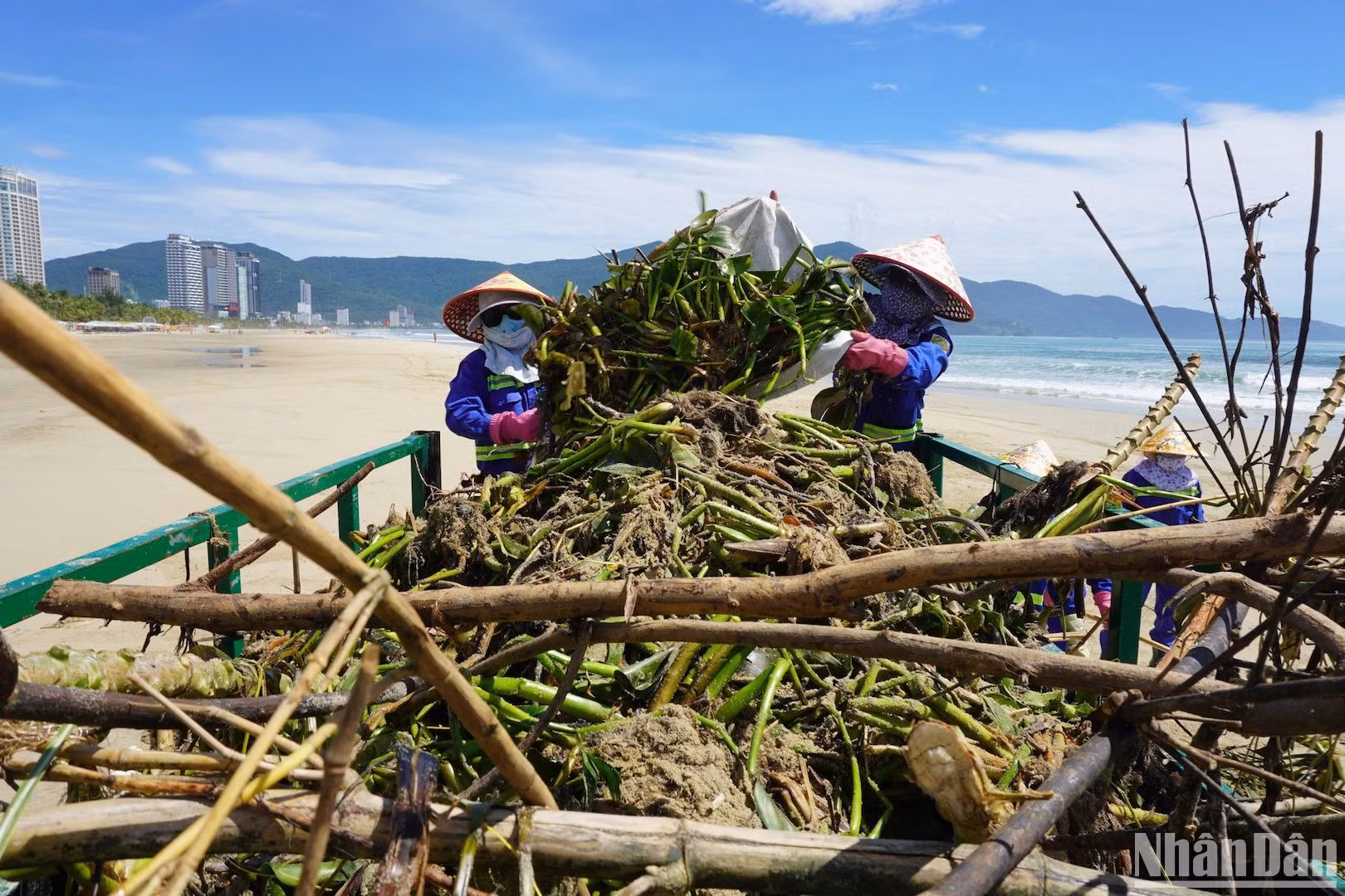 Các công nhân nỗ lực dọn rác tại các bờ biển sáng ngày 20/9. (Ảnh: ANH ĐÀO) Các công nhân nỗ lực dọn rác tại các bờ biển sáng ngày 20/9. (Ảnh: ANH ĐÀO)