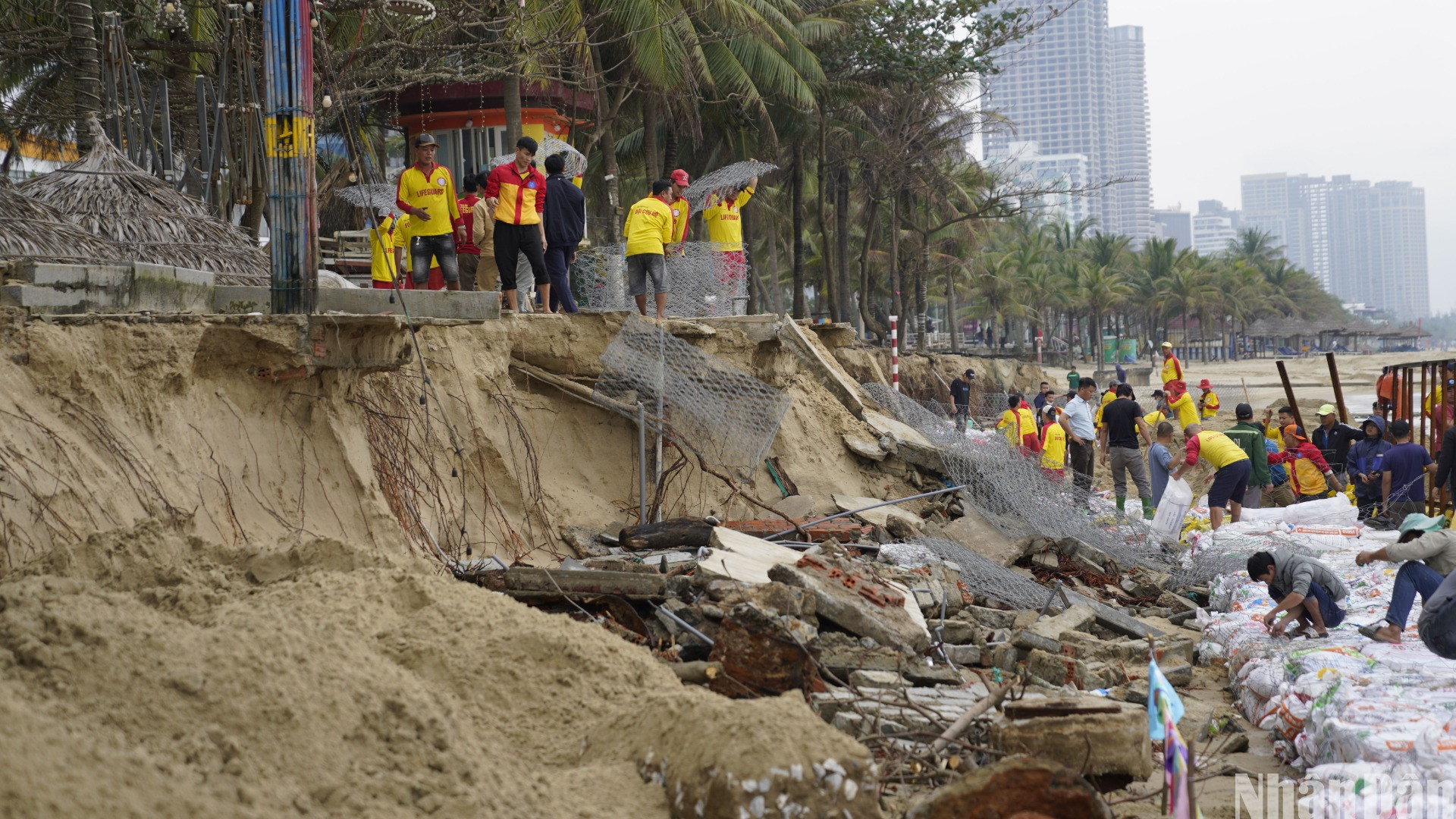 Hơn 200 nhân lực được điều động đến hiện trường, tăng tốc triển khai các công việc cứu bãi biển. (Ảnh: ANH ĐÀO) Hơn 200 nhân lực được điều động đến hiện trường, tăng tốc triển khai các công việc cứu bãi biển. (Ảnh: ANH ĐÀO)