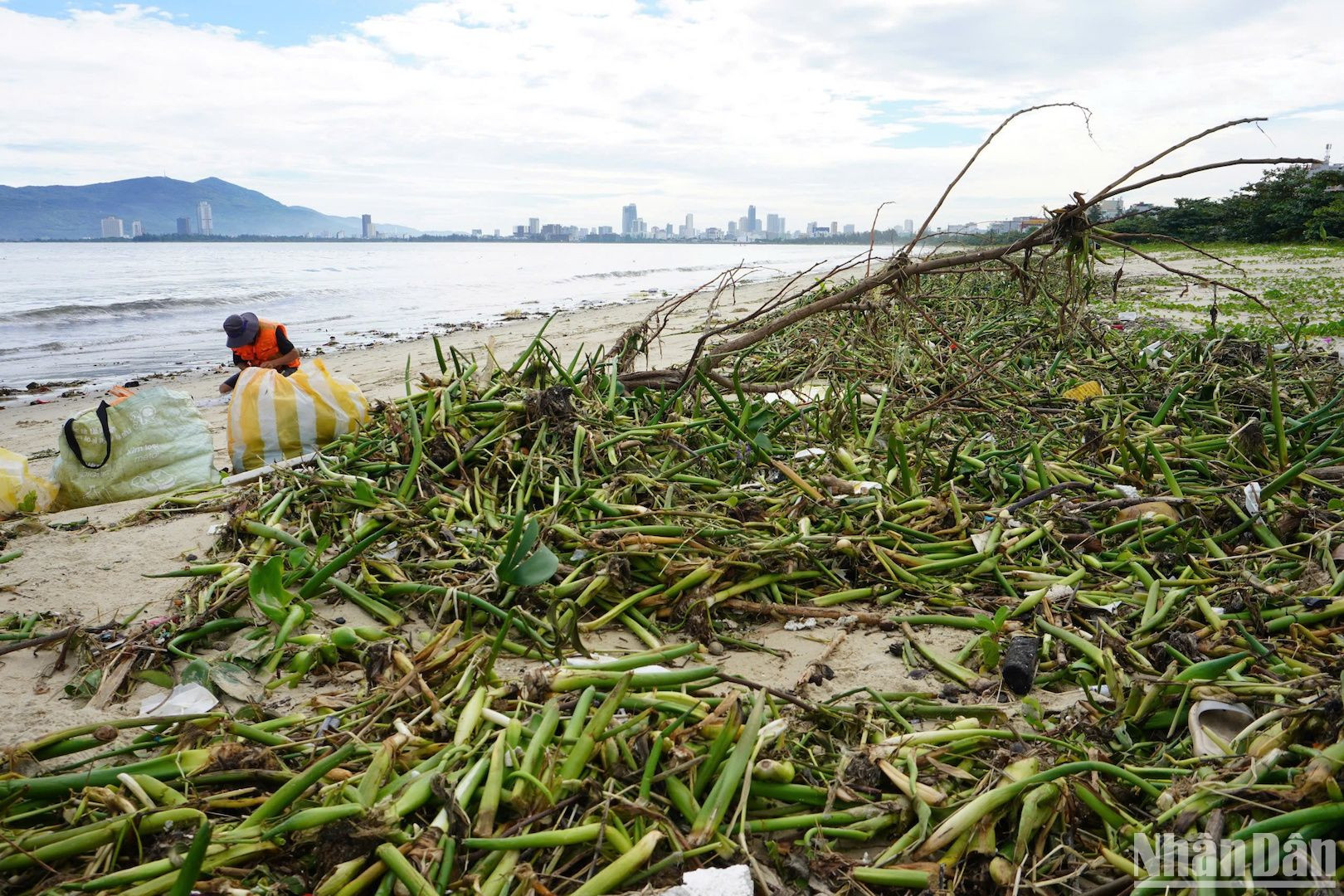 Một lượng rác thải lớn bị sóng đánh dạt vào bờ biển Đà Nẵng sau ảnh hưởng của bão số 4. (Ảnh: ANH ĐÀO)