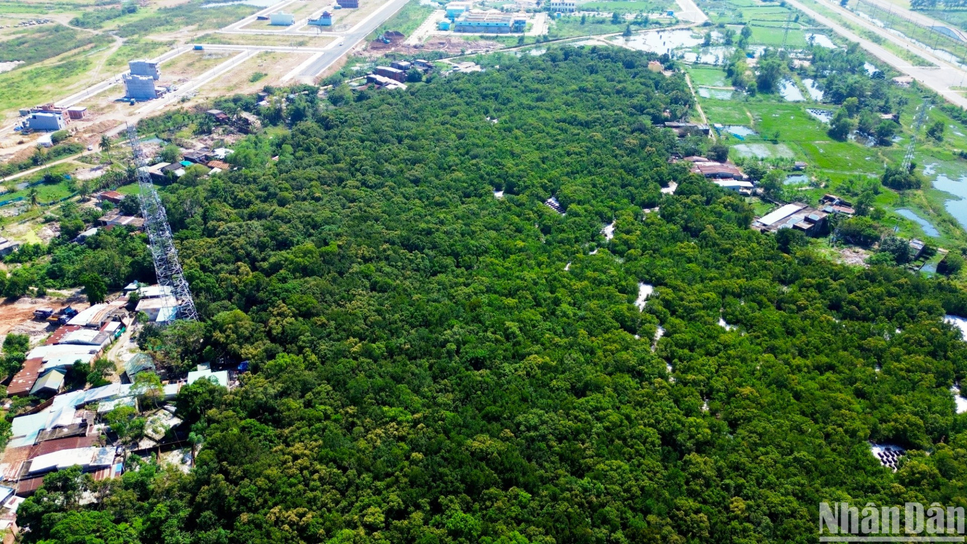 Toàn bộ diện tích rừng Trung Sơn còn lại hiện nay sẽ được chính quyền huyện Hòa Vang khảo sát, lập dự trù kinh phí, xây dựng quy hoạch theo hướng giữ lại, bảo tồn và phát huy giá trị các di tích nằm trong rừng Trung Sơn. (Ảnh: ANH ĐÀO)