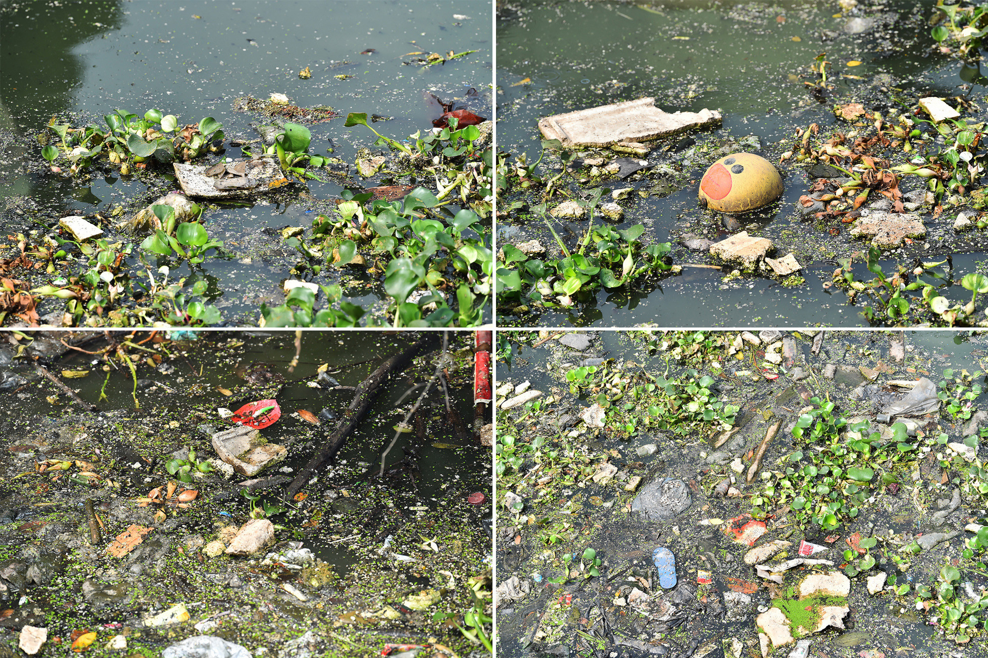 Trưởng nhóm Hà Nội Xanh Nguyễn Tiến Huy chia sẻ: Mục đích đầu tiên khi thành lập Hà Nội Xanh là làm sạch các con sông trên địa bàn thành phố Hà Nội. Mục đích lớn hơn, xa hơn là muốn tuyên truyền thông điệp “Xanh” đến tất cả mọi người, làm sao để mọi người cùng ý thức chung tay bảo vệ môi trường. Trưởng nhóm Hà Nội Xanh Nguyễn Tiến Huy chia sẻ: Mục đích đầu tiên khi thành lập Hà Nội Xanh là làm sạch các con sông trên địa bàn thành phố Hà Nội. Mục đích lớn hơn, xa hơn là muốn tuyên truyền thông điệp “Xanh” đến tất cả mọi người, làm sao để mọi người cùng ý thức chung tay bảo vệ môi trường.