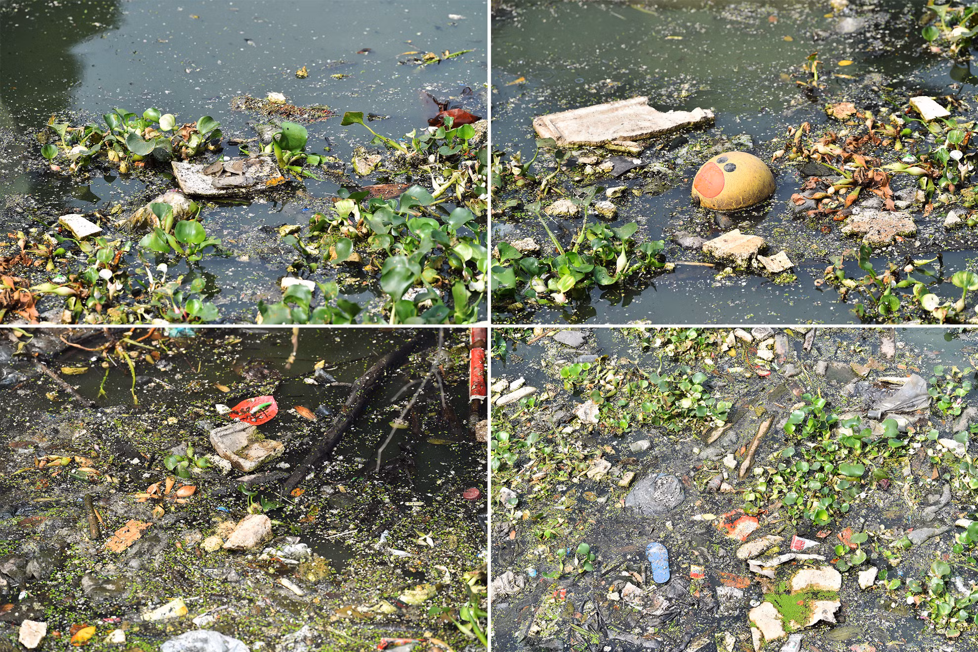 Trưởng nhóm Hà Nội Xanh Nguyễn Tiến Huy chia sẻ: Mục đích đầu tiên khi thành lập Hà Nội Xanh là làm sạch các con sông trên địa bàn thành phố Hà Nội. Mục đích lớn hơn, xa hơn là muốn tuyên truyền thông điệp “Xanh” đến tất cả mọi người, làm sao để mọi người cùng ý thức chung tay bảo vệ môi trường.