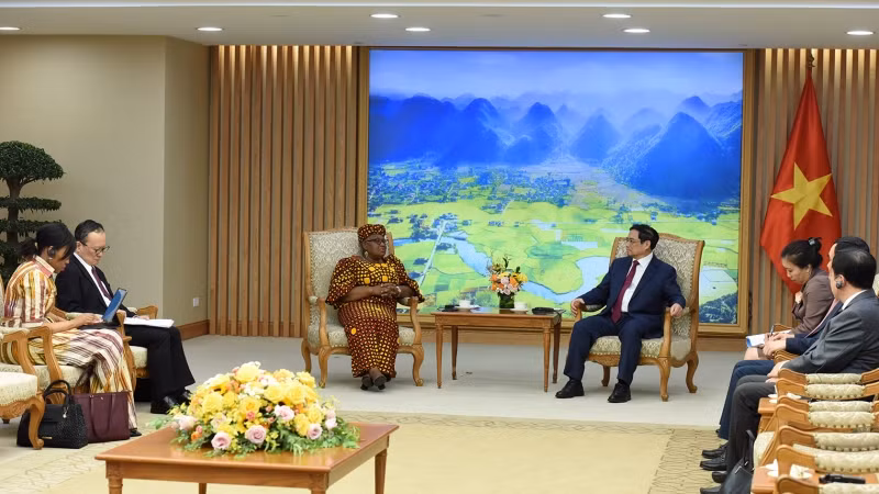 Tổng Giám đốc WTO nhất trí cao với những ý kiến của Thủ tướng, đồng thời nhấn mạnh vai trò của thương mại số và bày tỏ ấn tượng với tốc độ tăng trưởng nhanh của kinh tế số tại Việt Nam. Tổng Giám đốc WTO cũng chia sẻ một số vấn đề về sự tham gia của Việt Nam tại Hội nghị Thượng đỉnh G7 mở rộng sắp tới; mong muốn tăng cường hợp tác với Việt Nam trên các lĩnh vực phát triển kinh tế số, thương mại điện tử, thương mại xanh, ứng phó biến đổi khí hậu, đàm phán Hiệp định Trợ cấp thuỷ sản, chống khai thác thủy sản bất hợp pháp (IUU), phát triển bao trùm, trao quyền cho phụ nữ...