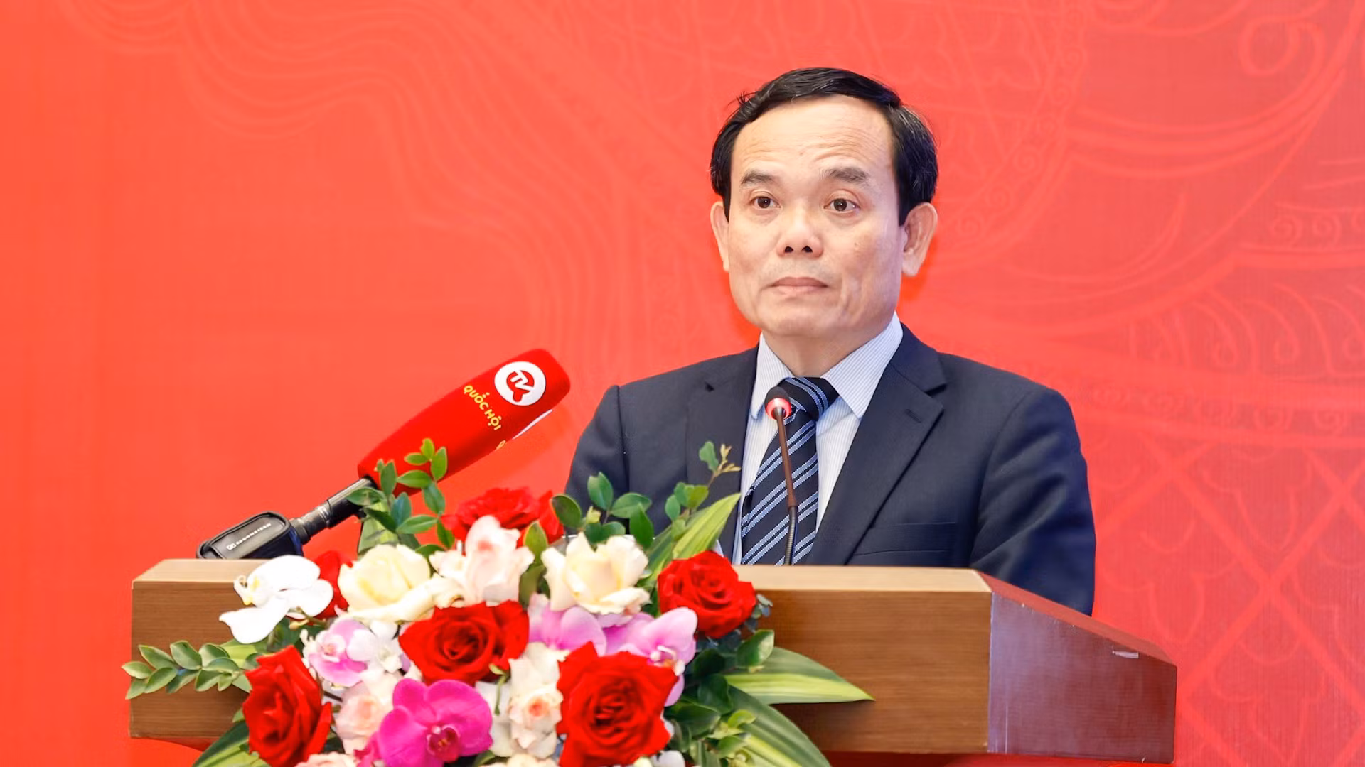 Phó Thủ tướng Chính phủ Trần Lưu Quang phát biểu tại Hội nghị.