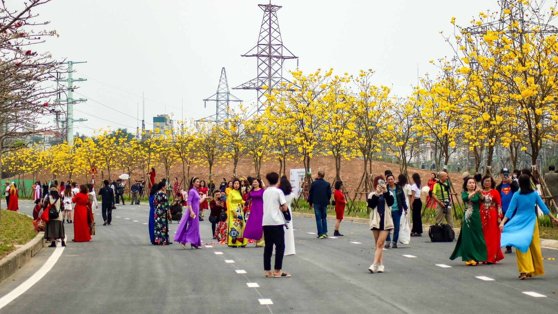 Tại khu đô thị này, cây hoa phong linh được trồng 2 bên đường tạo nên một khung cảnh ấm áp và tràn ngập sắc vàng.