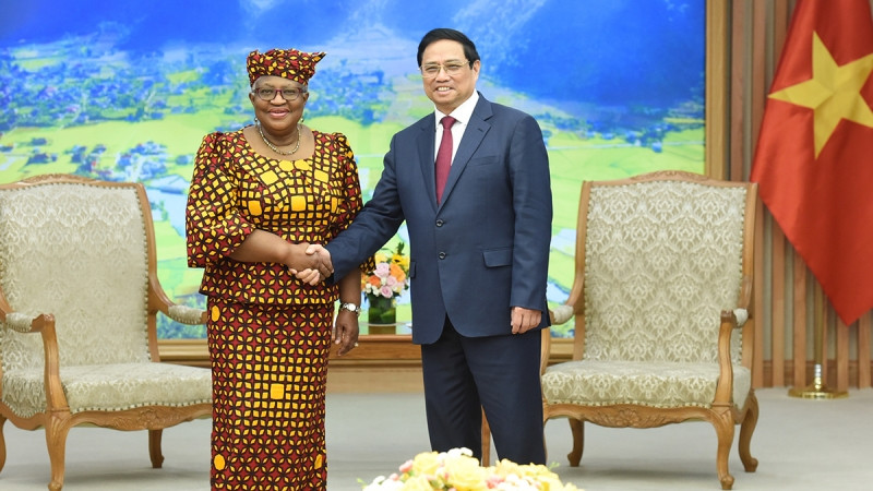 Thủ tướng đánh giá cao vai trò và nỗ lực của bà Tổng Giám đốc trong việc điều hành và thúc đẩy các hoạt động của WTO; chúc mừng bà Tổng Giám đốc vì những kết quả rất đáng ghi nhận đã đạt được từ khi nhậm chức Tổng Giám đốc WTO từ tháng 3/2021.