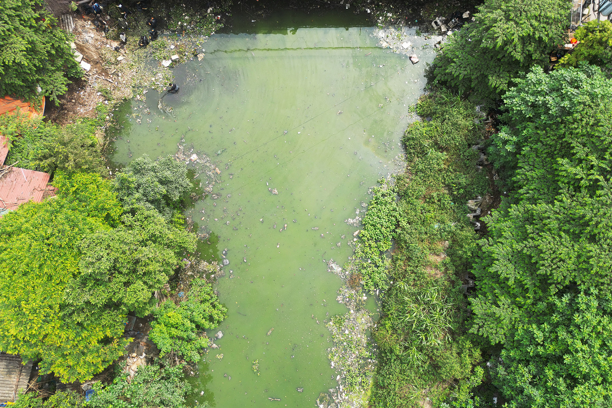 Kể từ khi thành lập tháng 12/2022 đến nay, nhóm Hà Nội Xanh đã tổ chức hàng chục buổi ra quân, dọn sạch rác tại các điểm nóng ô nhiễm môi trường như: sông Tô Lịch, sông Nhuệ, sông Đáy, cầu Mậu Lương 1, chùa Cầu Ngòi, mương hồ Linh Đàm... Kể từ khi thành lập tháng 12/2022 đến nay, nhóm Hà Nội Xanh đã tổ chức hàng chục buổi ra quân, dọn sạch rác tại các điểm nóng ô nhiễm môi trường như: sông Tô Lịch, sông Nhuệ, sông Đáy, cầu Mậu Lương 1, chùa Cầu Ngòi, mương hồ Linh Đàm...