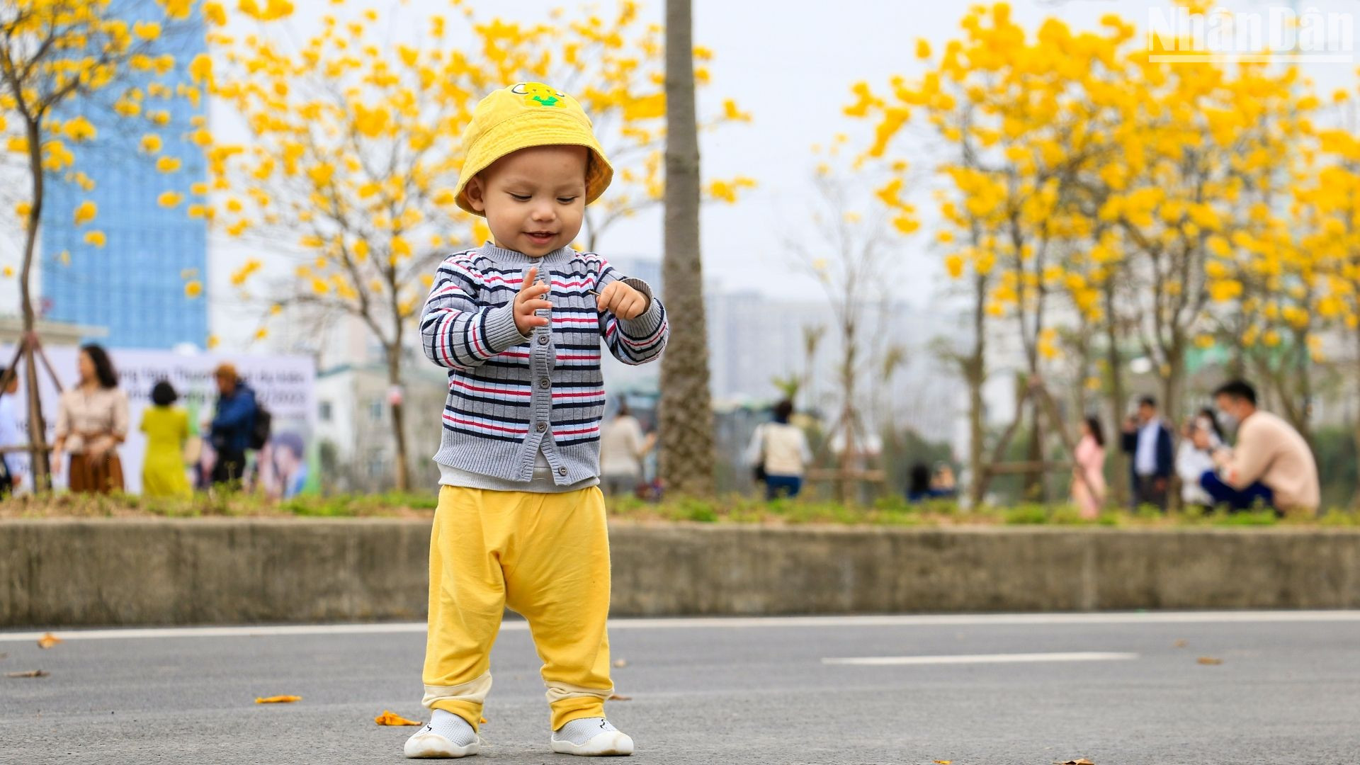 Bé trai vui vẻ chơi đùa cùng với hoa.