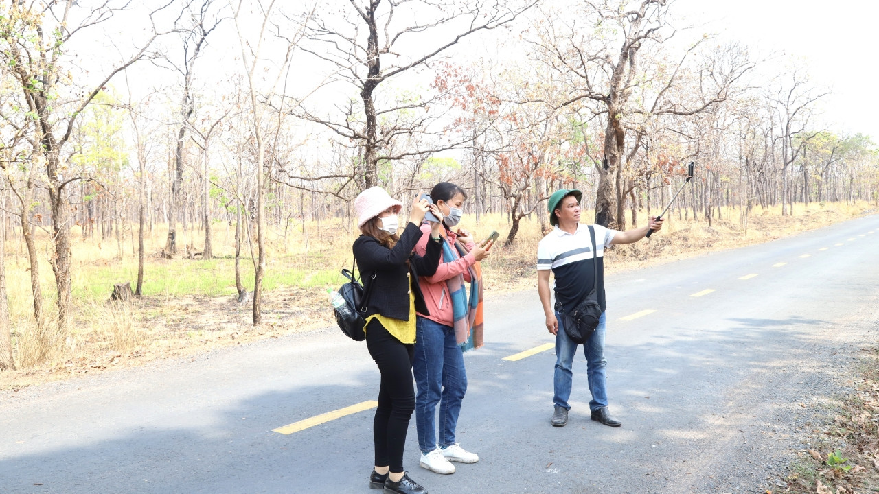 Và nhiều bạn trẻ khi đi qua rừng khộp mùa thay lá cũng không quên dừng chân chụp lại những bức ảnh đẹp để lưu niệm.