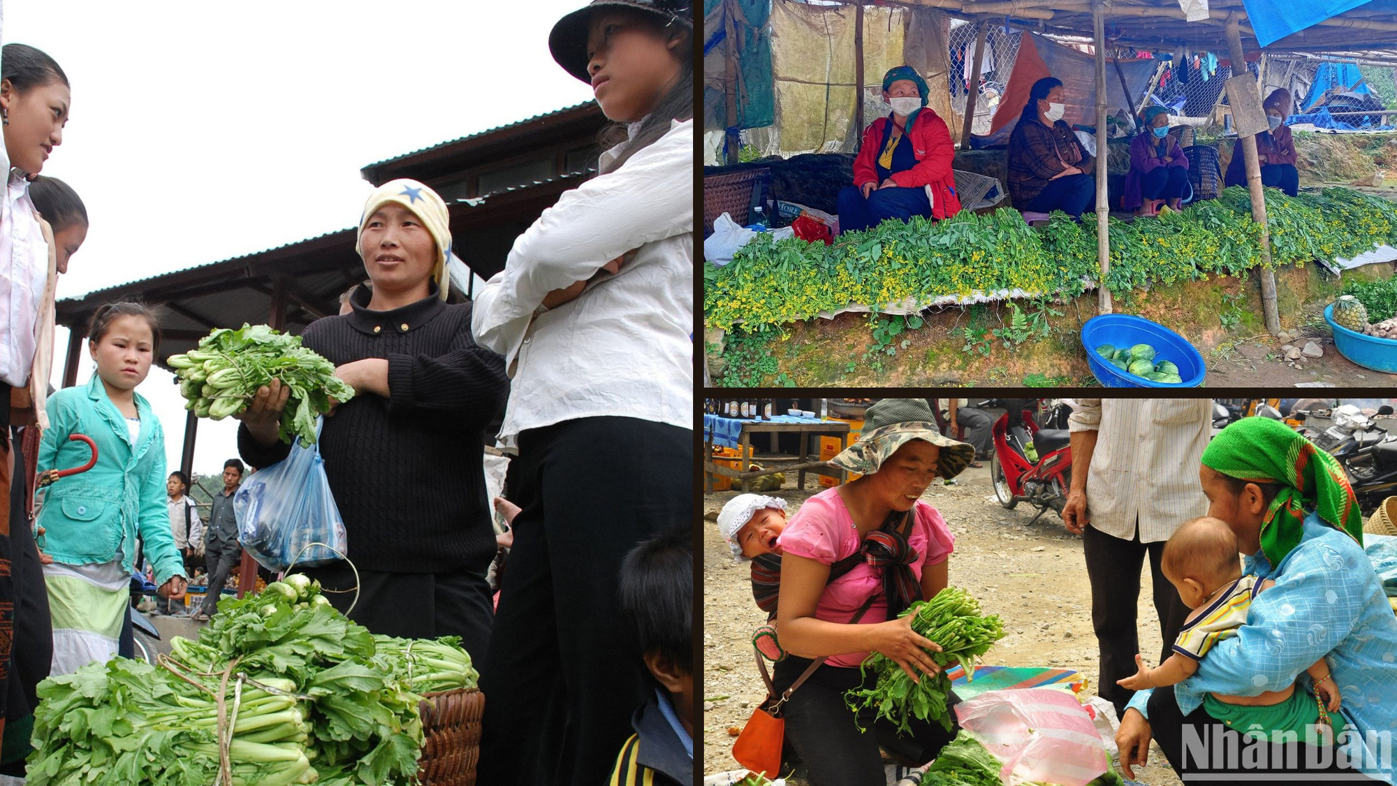 Cải nương luôn đắt khách.