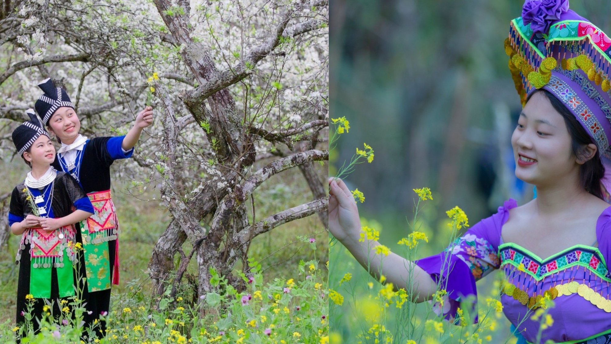 Thiếu nữ Mông checkin cùng hoa cải.