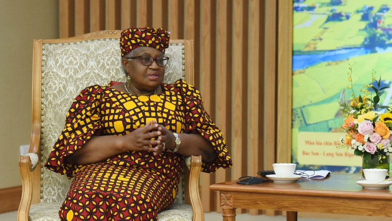 Phát biểu tại buổi tiếp, Tổng Giám đốc WTO Ngozi Okonjo-Iweala đánh giá Việt Nam là một câu chuyện thành công về vươn lên phát triển kinh tế-xã hội. Tuy nhiên, Tổng Giám đốc WTO cho rằng, thành công của Việt Nam chưa được biết đến nhiều trên thế giới; bà mong muốn được Thủ tướng chia sẻ về những kinh nghiệm, bài học của Việt Nam để giới thiệu rộng rãi hơn với thế giới, truyền cảm hứng cho nhiều quốc gia khác.