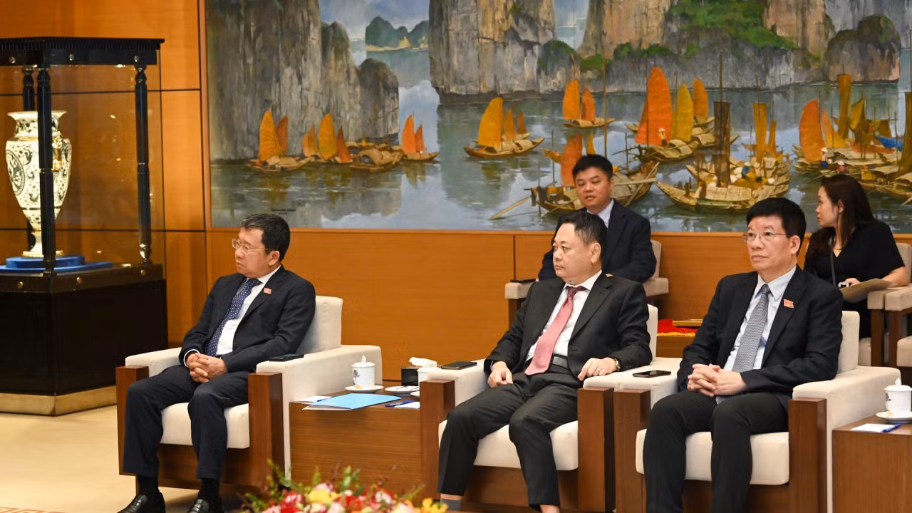 Các đại biểu Việt Nam dự cuộc tiếp.