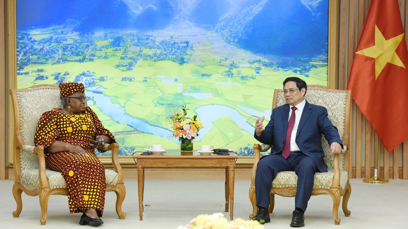 Thủ tướng mong cá nhân Tổng Giám đốc và WTO tiếp tục ủng hộ thúc đẩy các chương trình hợp tác, hỗ trợ tài chính, kỹ thuật của WTO nhằm giúp Việt Nam nâng cao hiệu quả hội nhập kinh tế quốc tế, tiếp tục đóng góp thiết thực vào các hoạt động của WTO.