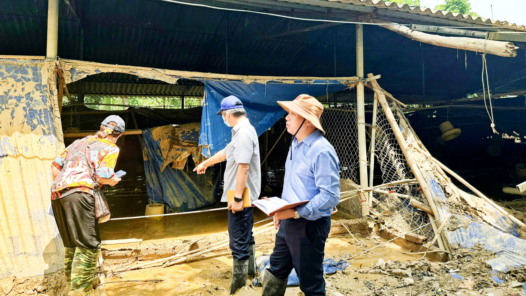 Sau lũ, cơ quan chức năng khẩn trương thống kê thiệt hại tại các trang trại để hỗ trợ nhằm khôi phục chăn nuôi.