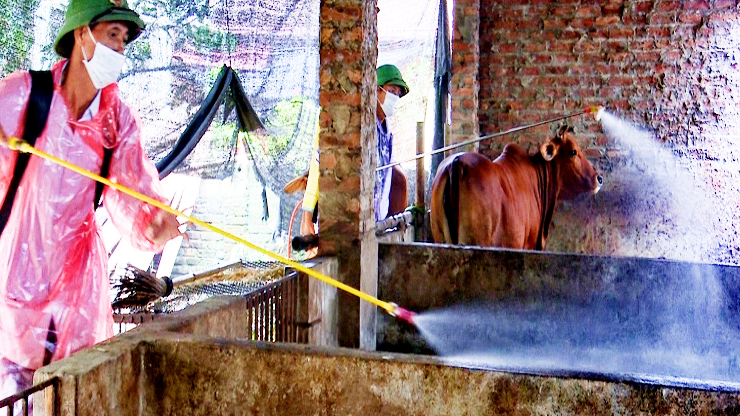 Cán bộ thú y toàn tỉnh hỗ trợ nông dân phun tiêu độc, khử trùng chuồng trại để phòng, chống dịch bệnh.