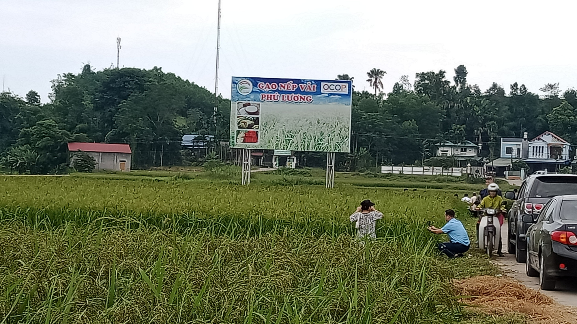 Việc bảo tồn làng truyền thống dân tộc Tày xóm Bản Đông, đặc sản gạo nếp vải sẽ thu hút khách du lịch cộng đồng. Việc bảo tồn làng truyền thống dân tộc Tày xóm Bản Đông, đặc sản gạo nếp vải sẽ thu hút khách du lịch cộng đồng.